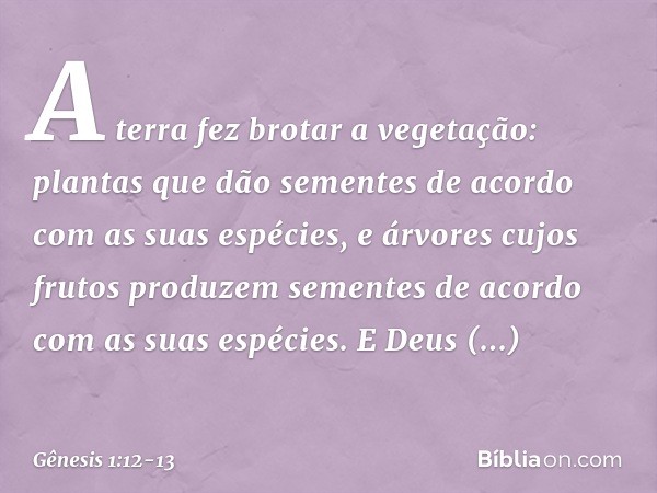 A terra fez bro­tar a vegetação: plantas que dão sementes de acordo com as suas espé­cies, e árvores cujos frutos produzem sementes de acordo com as suas espéci