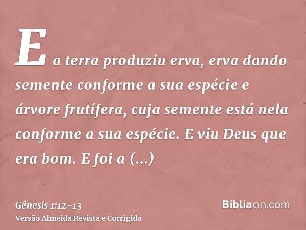 E a terra produziu erva, erva dando semente conforme a sua espécie e árvore frutífera, cuja semente está nela conforme a sua espécie. E viu Deus que era bom.E f