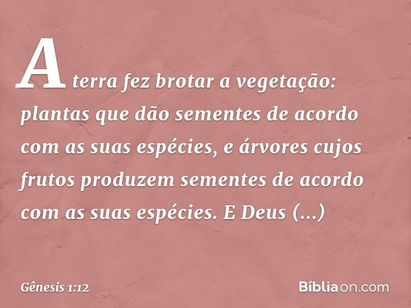 A terra fez bro­tar a vegetação: plantas que dão sementes de acordo com as suas espé­cies, e árvores cujos frutos produzem sementes de acordo com as suas espéci