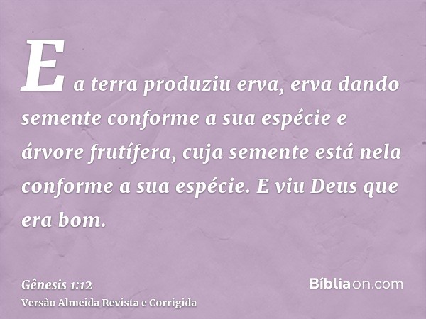 E a terra produziu erva, erva dando semente conforme a sua espécie e árvore frutífera, cuja semente está nela conforme a sua espécie. E viu Deus que era bom.