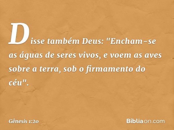 Disse também Deus: "Encham-se as águas de seres vivos, e voem as aves sobre a terra, sob o firmamento do céu". -- Gênesis 1:20