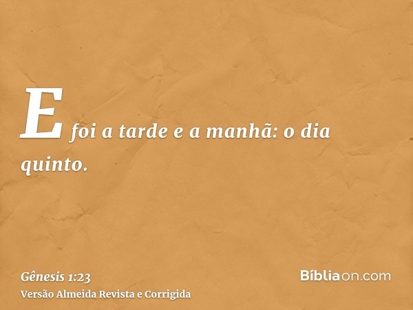 E foi a tarde e a manhã: o dia quinto.