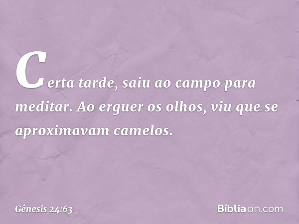 Certa tarde, saiu ao campo para meditar. Ao erguer os olhos, viu que se aproximavam camelos. -- Gênesis 24:63