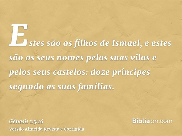 Estes são os filhos de Ismael, e estes são os seus nomes pelas suas vilas e pelos seus castelos: doze príncipes segundo as suas famílias.