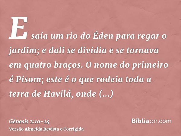 E saía um rio do Éden para regar o jardim; e dali se dividia e se tornava em quatro braços.O nome do primeiro é Pisom; este é o que rodeia toda a terra de Havil