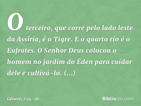 O terceiro, que corre pelo lado leste da Assíria, é o Tigre. E o quar­to rio é o Eufrates. O Senhor Deus colocou o homem no jardim do Éden para cuidar dele e cu