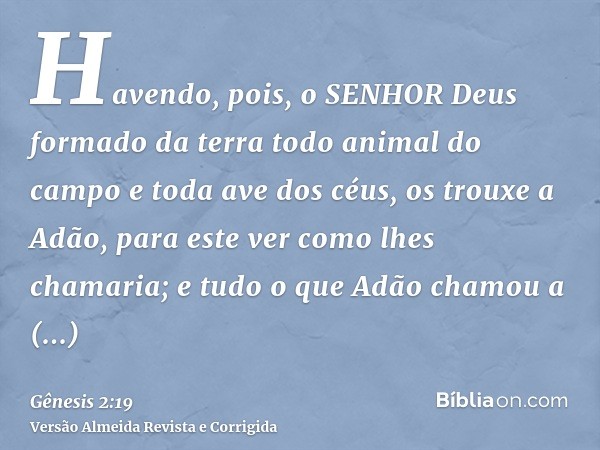 Havendo, pois, o SENHOR Deus formado da terra todo animal do campo e toda ave dos céus, os trouxe a Adão, para este ver como lhes chamaria; e tudo o que Adão ch