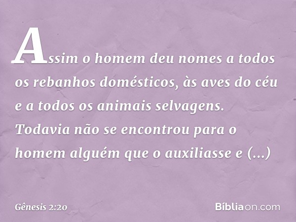 As­sim o homem deu nomes a todos os rebanhos domésticos, às aves do céu e a todos os animais selvagens. Todavia não se encontrou para o homem alguém que o auxil