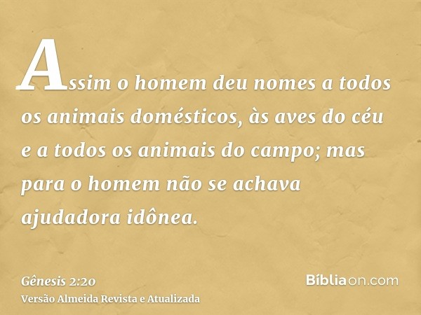 Assim o homem deu nomes a todos os animais domésticos, às aves do céu e a todos os animais do campo; mas para o homem não se achava ajudadora idônea.