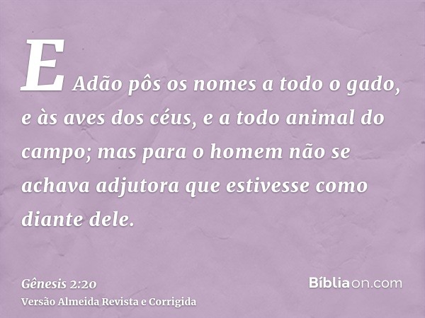 E Adão pôs os nomes a todo o gado, e às aves dos céus, e a todo animal do campo; mas para o homem não se achava adjutora que estivesse como diante dele.