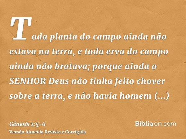 Toda planta do campo ainda não estava na terra, e toda erva do campo ainda não brotava; porque ainda o SENHOR Deus não tinha feito chover sobre a terra, e não h