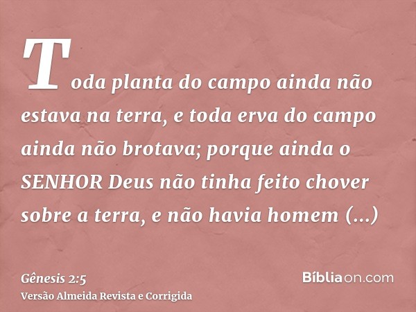 Toda planta do campo ainda não estava na terra, e toda erva do campo ainda não brotava; porque ainda o SENHOR Deus não tinha feito chover sobre a terra, e não h
