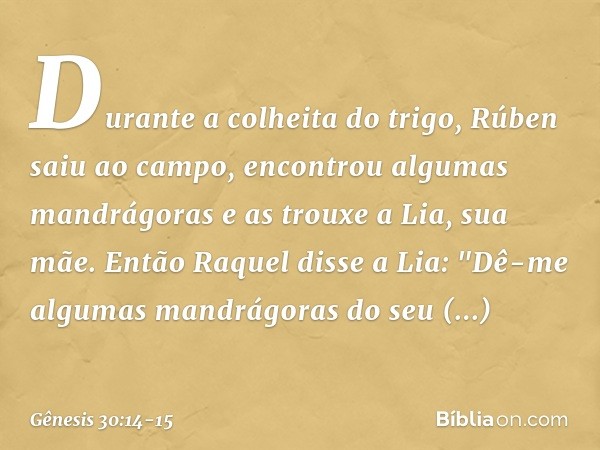 Durante a colheita do trigo, Rúben saiu ao campo, encontrou algumas mandrágoras e as trouxe a Lia, sua mãe. Então Raquel disse a Lia: "Dê-me algumas mandrágoras