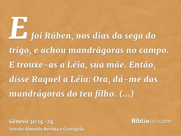 E foi Rúben, nos dias da sega do trigo, e achou mandrágoras no campo. E trouxe-as a Léia, sua mãe. Então, disse Raquel a Léia: Ora, dá-me das mandrágoras do teu