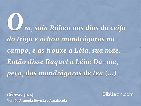 Ora, saiu Rúben nos dias da ceifa do trigo e achou mandrágoras no campo, e as trouxe a Léia, sua mãe. Então disse Raquel a Léia: Dá-me, peço, das mandrágoras de