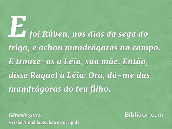 E foi Rúben, nos dias da sega do trigo, e achou mandrágoras no campo. E trouxe-as a Léia, sua mãe. Então, disse Raquel a Léia: Ora, dá-me das mandrágoras do teu