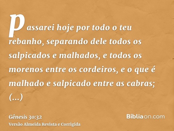passarei hoje por todo o teu rebanho, separando dele todos os salpicados e malhados, e todos os morenos entre os cordeiros, e o que é malhado e salpicado entre 