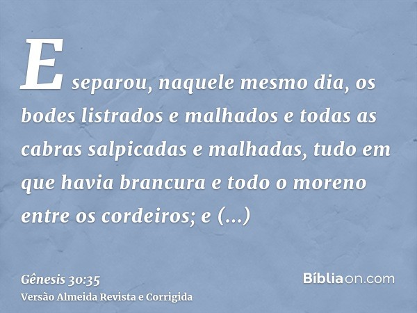 E separou, naquele mesmo dia, os bodes listrados e malhados e todas as cabras salpicadas e malhadas, tudo em que havia brancura e todo o moreno entre os cordeir