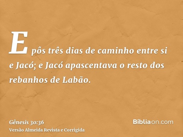 E pôs três dias de caminho entre si e Jacó; e Jacó apascentava o resto dos rebanhos de Labão.
