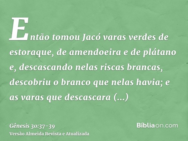 Então tomou Jacó varas verdes de estoraque, de amendoeira e de plátano e, descascando nelas riscas brancas, descobriu o branco que nelas havia;e as varas que de