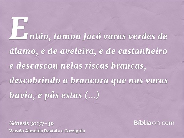 Então, tomou Jacó varas verdes de álamo, e de aveleira, e de castanheiro e descascou nelas riscas brancas, descobrindo a brancura que nas varas havia,e pôs esta