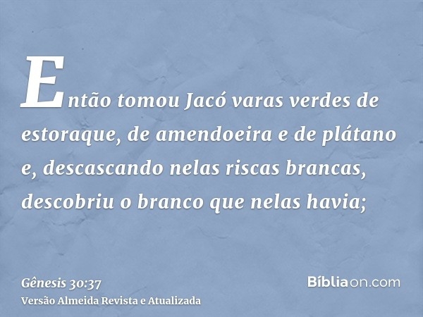 Então tomou Jacó varas verdes de estoraque, de amendoeira e de plátano e, descascando nelas riscas brancas, descobriu o branco que nelas havia;