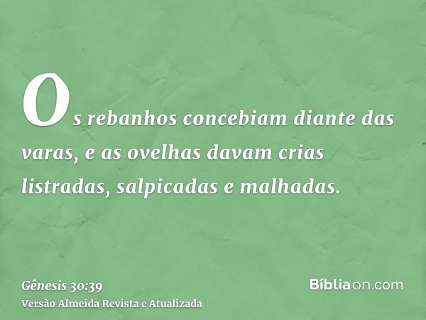 Os rebanhos concebiam diante das varas, e as ovelhas davam crias listradas, salpicadas e malhadas.