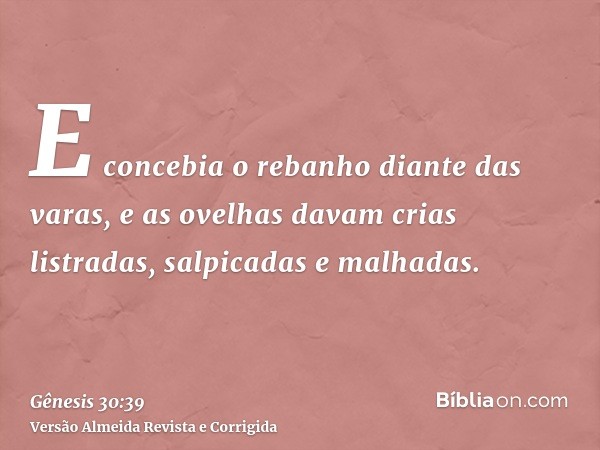 E concebia o rebanho diante das varas, e as ovelhas davam crias listradas, salpicadas e malhadas.