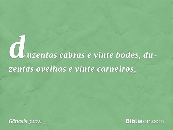 duzen­tas cabras e vinte bodes, du­zentas ovelhas e vinte carneiros, -- Gênesis 32:14