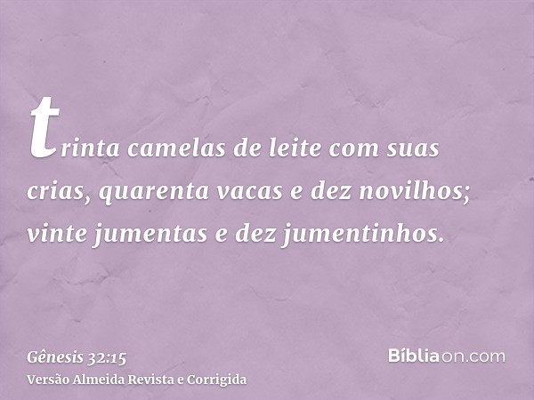 trinta camelas de leite com suas crias, quarenta vacas e dez novilhos; vinte jumentas e dez jumentinhos.