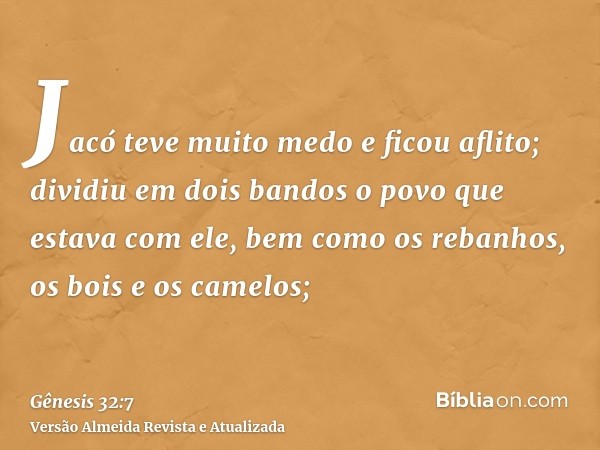 Jacó teve muito medo e ficou aflito; dividiu em dois bandos o povo que estava com ele, bem como os rebanhos, os bois e os camelos;