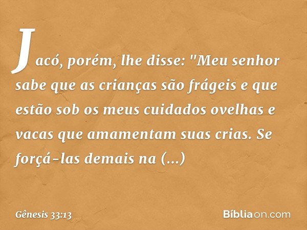 Jacó, porém, lhe disse: "Meu senhor sabe que as crian­ças são frágeis e que estão sob os meus cuidados ovelhas e vacas que ama­men­tam suas crias. Se forçá-las 