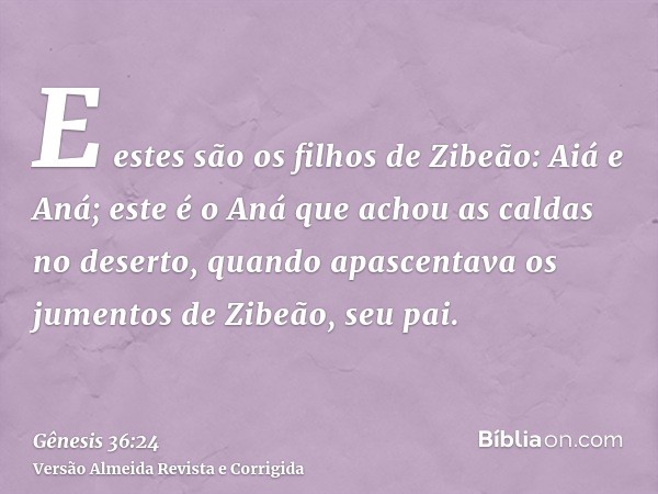 E estes são os filhos de Zibeão: Aiá e Aná; este é o Aná que achou as caldas no deserto, quando apascentava os jumentos de Zibeão, seu pai.