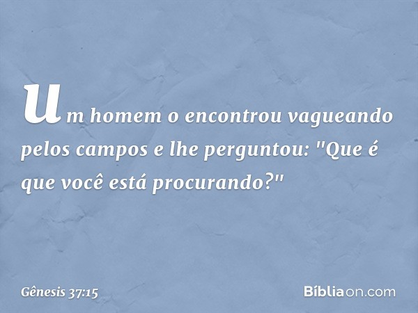 um homem o encontrou vagueando pelos campos e lhe perguntou: "Que é que você está procurando?" -- Gênesis 37:15