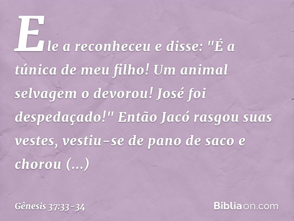 Ele a reconheceu e disse: "É a túnica de meu filho! Um animal selvagem o devorou! José foi despedaçado!" Então Jacó rasgou suas vestes, vestiu-se de pano de sac