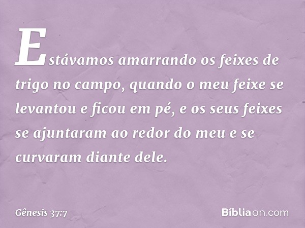 "Estávamos amarrando os feixes de trigo no campo, quando o meu feixe se levantou e ficou em pé, e os seus feixes se ajuntaram ao redor do meu e se curvaram dian