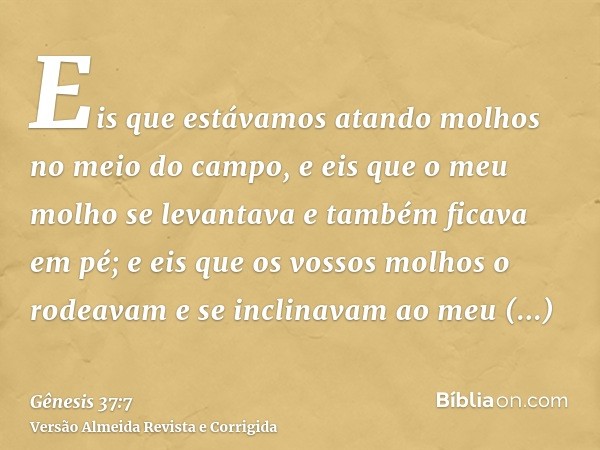 Eis que estávamos atando molhos no meio do campo, e eis que o meu molho se levantava e também ficava em pé; e eis que os vossos molhos o rodeavam e se inclinava