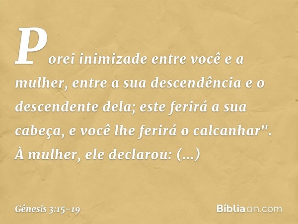 Porei inimizade
entre você e a mulher,
entre a sua descendência
e o descendente dela;
este ferirá a sua cabeça,
e você lhe ferirá o calcanhar". À mulher, ele de