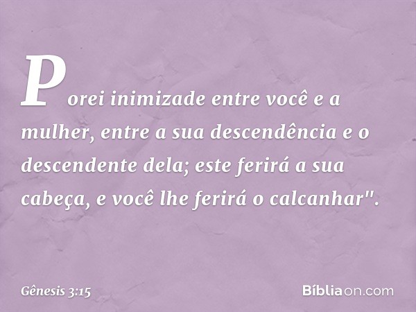 Porei inimizade
entre você e a mulher,
entre a sua descendência
e o descendente dela;
este ferirá a sua cabeça,
e você lhe ferirá o calcanhar". -- Gênesis 3:15