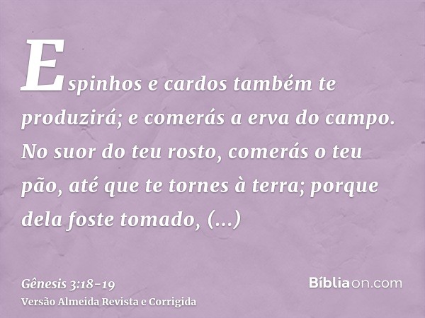 Espinhos e cardos também te produzirá; e comerás a erva do campo.No suor do teu rosto, comerás o teu pão, até que te tornes à terra; porque dela foste tomado, p