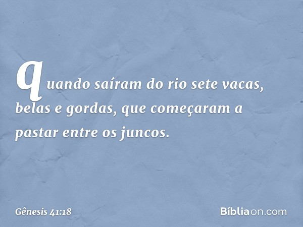 quan­do saíram do rio sete vacas, belas e gor­das, que começaram a pastar entre os juncos. -- Gênesis 41:18