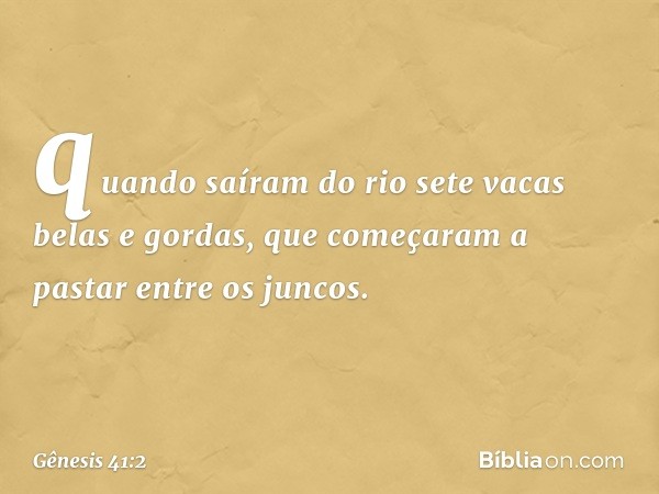 quan­do saíram do rio sete vacas belas e gordas, que começaram a pastar entre os juncos. -- Gênesis 41:2