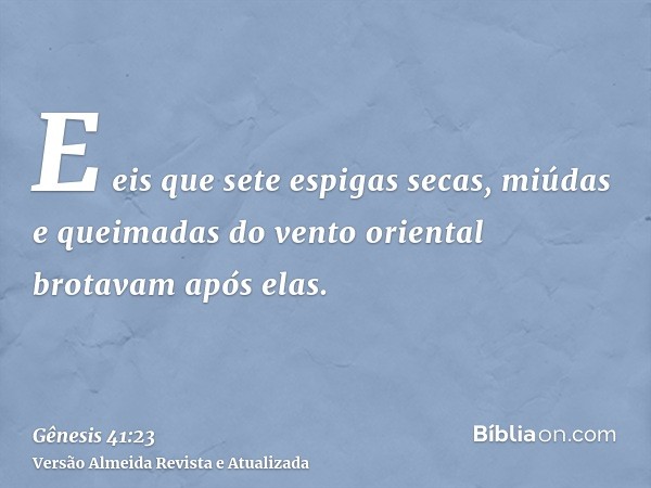 E eis que sete espigas secas, miúdas e queimadas do vento oriental brotavam após elas.