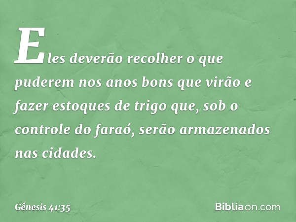 Eles deverão recolher o que puderem nos anos bons que virão e fazer estoques de trigo que, sob o controle do faraó, serão armazenados nas cida­des. -- Gênesis 4