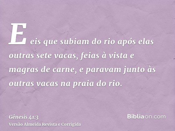 E eis que subiam do rio após elas outras sete vacas, feias à vista e magras de carne, e paravam junto às outras vacas na praia do rio.