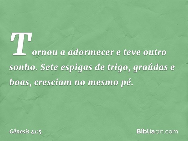 Tornou a adormecer e teve outro sonho. Sete espigas de trigo, graúdas e boas, cresciam no mesmo pé. -- Gênesis 41:5