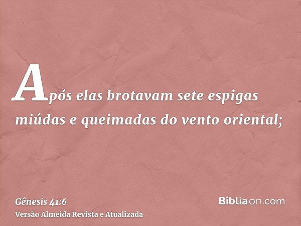 Após elas brotavam sete espigas miúdas e queimadas do vento oriental;