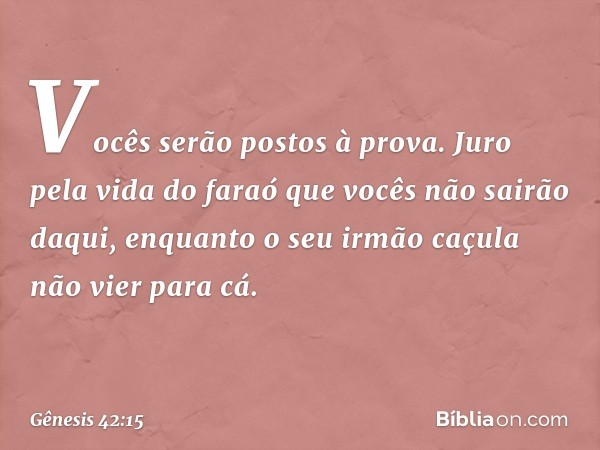 Vocês serão postos à prova. Juro pela vida do faraó que vocês não sairão daqui, enquanto o seu irmão caçula não vier para cá. -- Gênesis 42:15