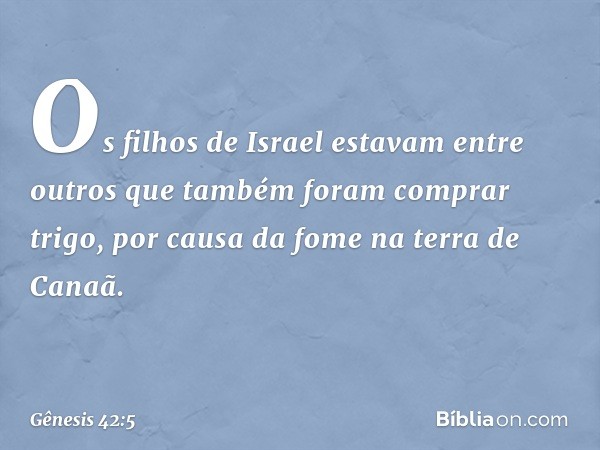 Os filhos de Israel estavam entre outros que tam­bém foram comprar trigo, por causa da fome na terra de Canaã. -- Gênesis 42:5