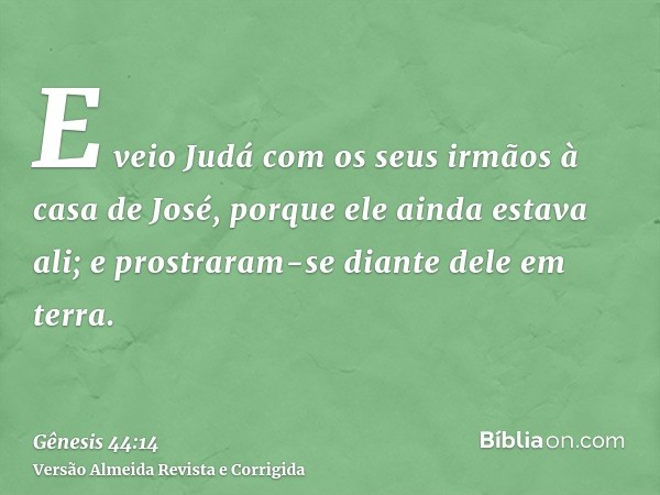 E veio Judá com os seus irmãos à casa de José, porque ele ainda estava ali; e prostraram-se diante dele em terra.